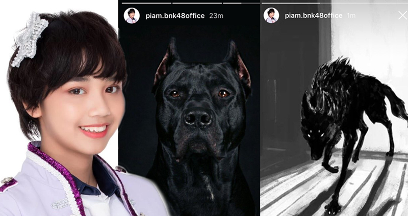 เปี่ยม BNK48 โพสต์สตอรี่  ‘I had a black dog’ สัญลักษณ์ของผู้ป่วยโรคซึมเศร้า