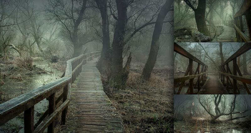 ช่างภาพเดินถ่าย ‘ทางเดินริมแม่น้ำ’ ที่ถูกทิ้งร้างในฮังการี จนรู้สึกเหมือนอยู่ในหนังสยองขวัญ…