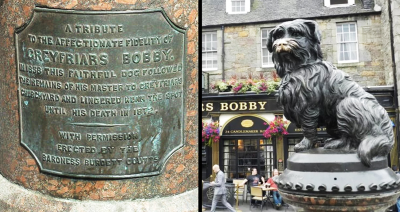 เชิญพบ Hachiko แห่งสก็อตแลนด์ เจ้า “Bobby” หมาซื่อสัตย์ผู้เฝ้าร่างเจ้านาย 14 ปี