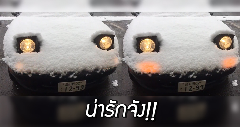 หิมะตกที่ญี่ปุ่นทำให้รถคันหนึ่งเป็นไวรัล หลังเปิดไฟหน้า แล้วดันดูเหมือนคนกำลังเขิน