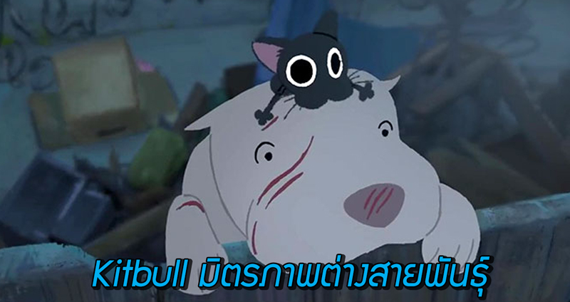 ชวนดู Kitbull แอนิเมชันเรื่องสั้นอบอุ่นหัวใจจาก ‘พิกซาร์’ เรื่องราวของมิตรภาพต่างสายพันธุ์