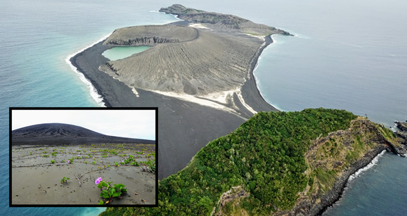ทีมนักวิทย์และ NASA ลงสำรวจเกาะเกิดใหม่ ผ่านมาได้ 4 ปี พบทั้งโคลนและพืชพันธุ์เติบโต
