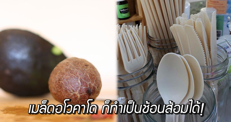 บริษัทเม็กซิกันผุดไอเดียสุดเจ๋ง ใช้ ‘เมล็ดอโวคาโด’ มาทำเป็นช้อนส้อม หลอด เพื่อรักษ์โลก!!