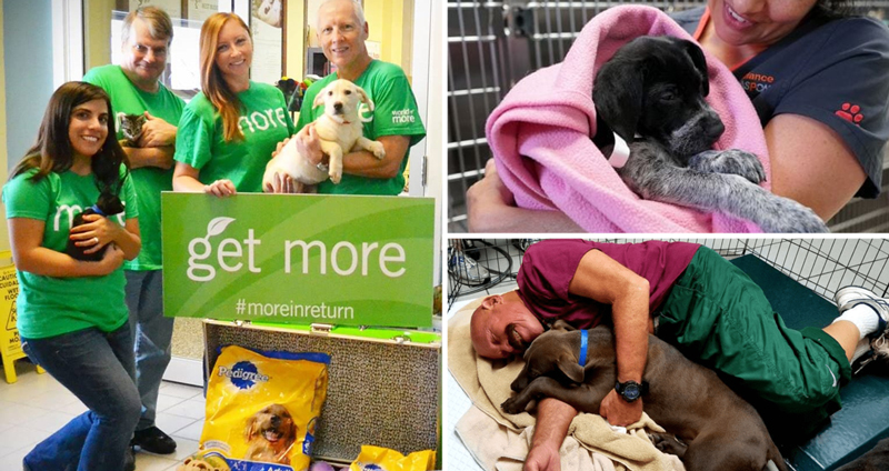 องค์กรการกุศลเพื่อสุนัขรับสมัคร ‘นักกอดหมา’ เพื่อแบ่งปันความอบอุ่นให้เพื่อน 4 ขา