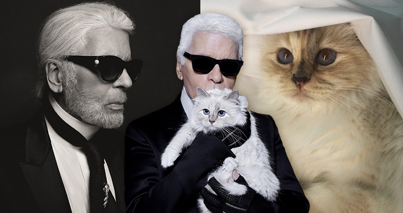 เจ้าเหมียว Choupette จะได้รับมรดกร่วม “1 หมื่นล้าน” จากการเสียชีวิตของ Karl Lagerfeld