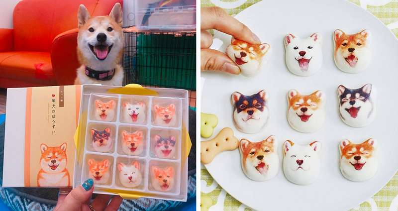 เปิดแมพไปรู้จักกับ ‘Hozui’ มาร์ชเมลโล่รูป ‘น้องหมาชิบะ’ ขนมน่ารักๆ ที่มากับไส้ช็อกโกแลต!!