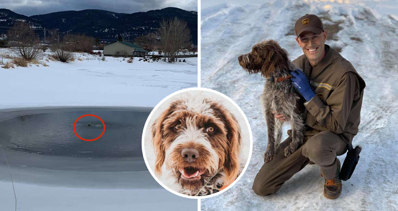 หนุ่มพนักงานส่งของ ว่ายไปช่วยหมาในน้ำเย็นยะเยือก ทำให้มันรอดตายได้หวุดหวิด