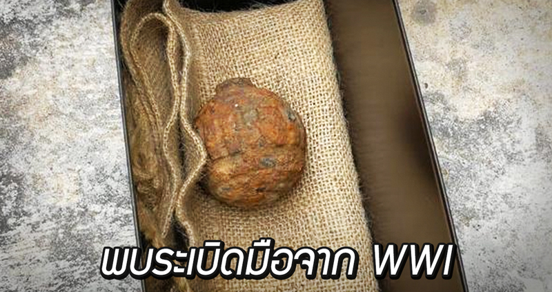 ระเบิดมือจากสงครามโลกครั้งที่หนึ่ง ถูกพบส่งมาพร้อมมันฝรั่งที่โรงงานในฮ่องกง