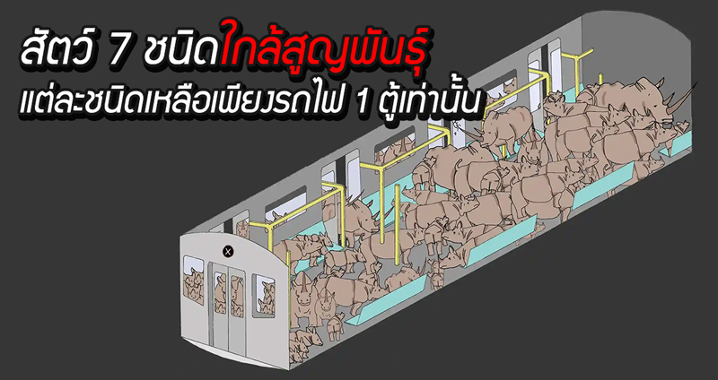 ศิลปะสะเทือนสังคม สัตว์ 7 ชนิดใกล้สูญพันธุ์ แต่ละชนิดเหลือเพียงรถไฟ 1 ตู้เท่านั้นเอง..