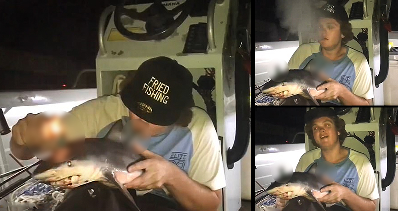 หนุ่มนักตกปลา อัดคลิป “เอาซากฉลามมาทำบ้อง” สูบควันพร้อมเปิดเพลง Baby Shark