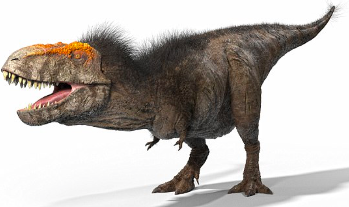  T Rex 