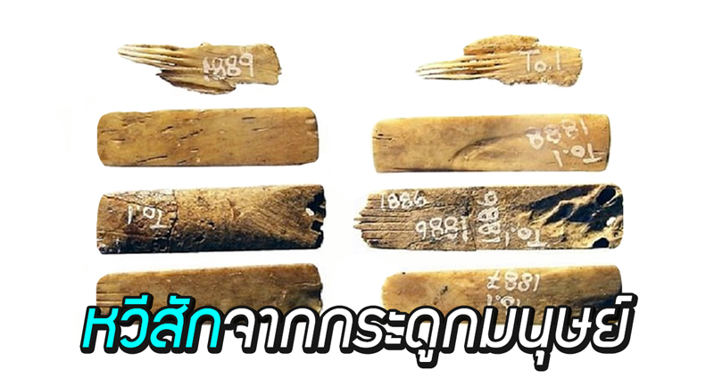 นักโบราณคดีพบ “หวีสัก” อายุ 2,700 ปี ถูกลืมไว้ในห้องเก็บของ และทำจากกระดูกมนุษย์