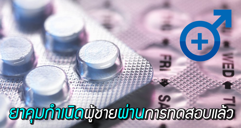 ‘ยาคุมกำเนิดสำหรับท่านชาย’ ผ่านการทดสอบความปลอดภัยกับมนุษย์ เรียบร้อยแล้ว!!