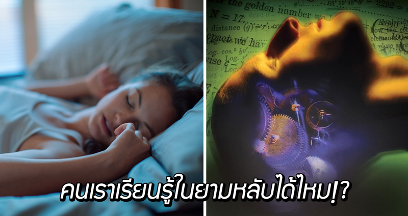 ตอบคำถาม “คนเราเรียนรู้ในยามหลับได้ไหม” นักวิทย์บอกได้ แต่อาจไม่ใช่แบบที่เราคิด