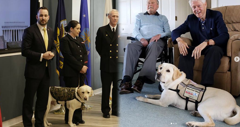หมาของอดีตประธานาธิบดีบุช ได้รับการต้อนรับสู่บ้านใหม่ ในฐานะหมาให้กำลังใจผู้ป่วย