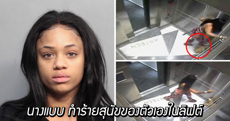 นางแบบอินสตาแกรมถูกคุมความประพฤติ หลังเธอทำร้ายสุนัขของตัวเองในลิฟต์