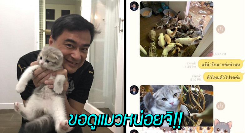 ชาวเน็ตแห่แอดไลน์ ‘@Mark_Abhisit’ ขอดูแมวพี่ ‘มาร์ค อภิสิทธิ์’ แล้วเขาก็จัดให้จริงๆ!!