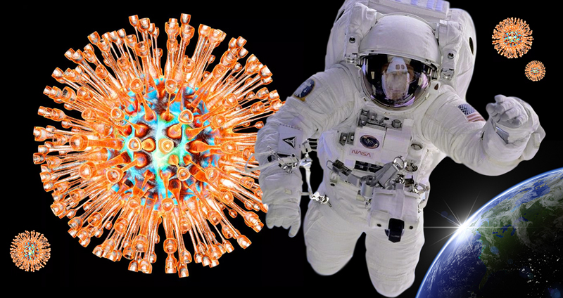 งานวิจัยพบ การอยู่ในอวกาศทำให้ไวรัสโรคเริมกลับมาทำงานได้ เชื่อส่งผลต่อภารกิจระยะยาว