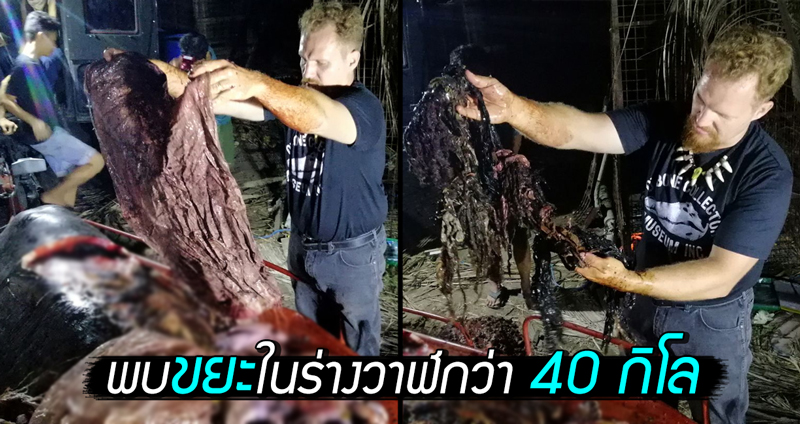 พบ “ซากวาฬ” ที่ฟิลิปปินส์ มี “พลาสติก” ในท้องถึง 40 กิโล มากสุดที่นักวิทย์ฯ เคยเจอ