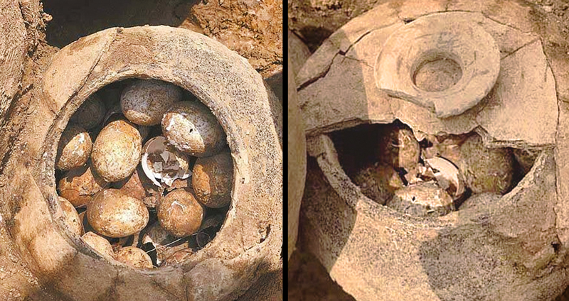 นักโบราณคดีพบ “ไหใส่ไข่” ในสุสานที่ประเทศจีน คาดมาจากยุคชุนชิว และมีอายุราว 2,500 ปี