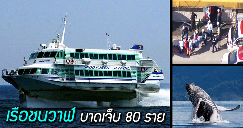 เรือเฟอร์รี่ที่ญี่ปุ่น ‘ชนวาฬ’ เข้าอย่างจัง ทำให้นักท่องเที่ยวบนเรือบาดเจ็บกว่า 80 คน