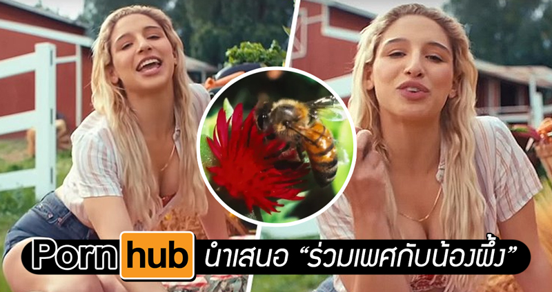 PornHub ชวนคุณชมคลิป “ร่วมเพศกับน้องผึ้ง” เพียงแค่ดู ก็ได้ระดมทุนบริจาคให้องค์กรอนุรักษ์