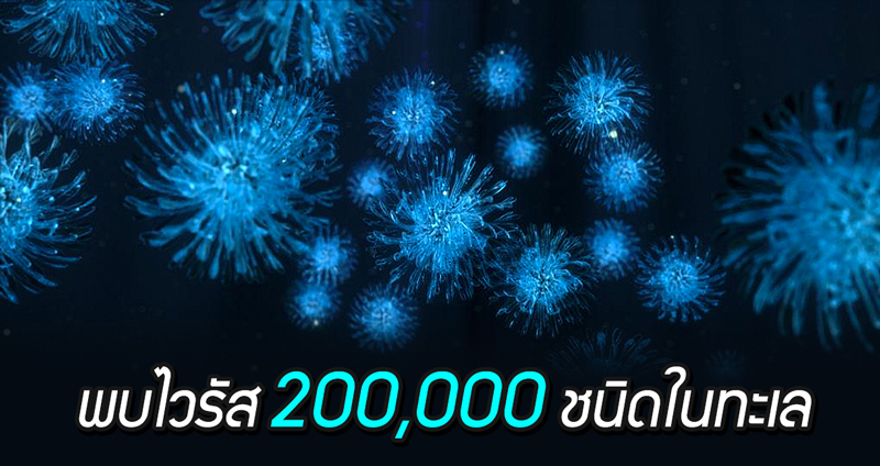 พบไวรัสกว่า 200,000 สายพันธุ์ ในทะเล คาดส่วนมากไม่เป็นอันตรายกับมนุษย์