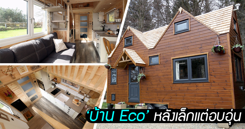 หนุ่มอังกฤษสร้าง ‘บ้าน Eco’ หลังเล็กพริกขี้หนู ประหยัดค่าใช้จ่ายไปได้กว่า 40,000 บาท!