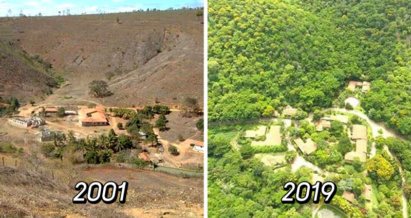 18 ปีไม่สูญเปล่า! ชาวบราซิลเปลี่ยนป่าแล้งให้สมบูรณ์ เป็นที่อยู่อาศัยให้สัตว์กว่า 500 ชนิด