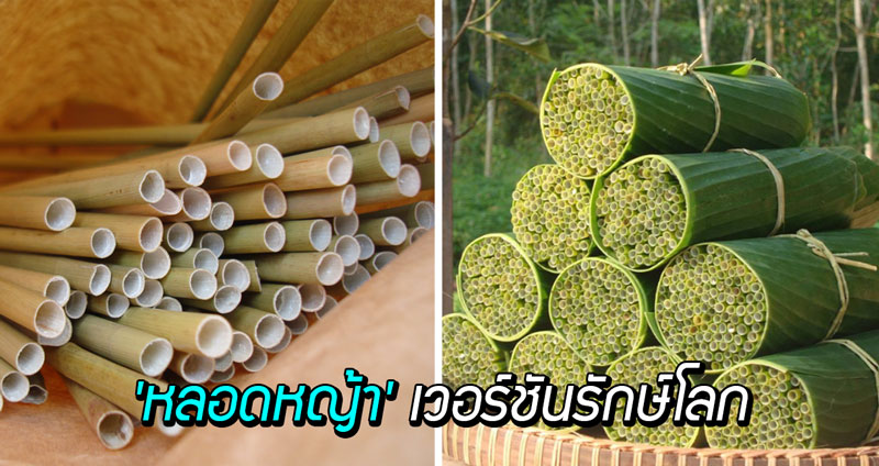 ชาวเวียดนามคิดค้น ‘หลอดหญ้า’ เวอร์ชันรักษ์โลก เก็บรักษาได้นานถึง 6 เดือน