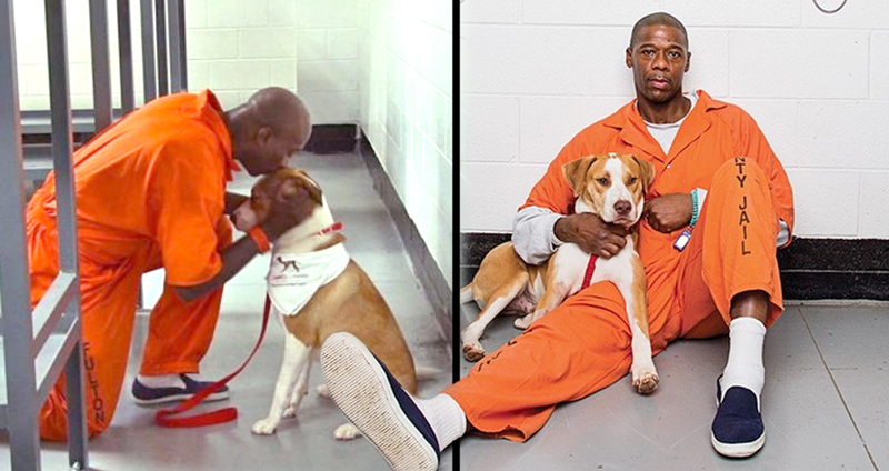 มูลนิธิให้สุนัขไปอยู่กับนักโทษ เพื่อช่วยเปลี่ยนพฤติกรรมและความคิดของพวกเขา