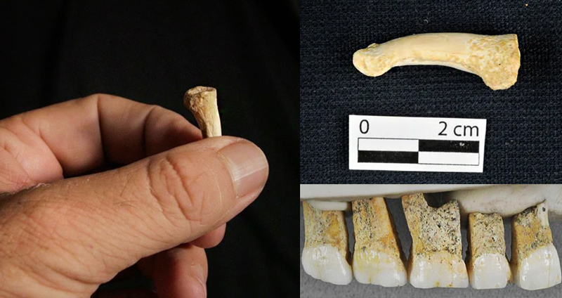 นักโบราณคดีพบ มนุษย์โบราณสายพันธุ์ใหม่ที่ฟิลิปปินส์ คาดสูงเพียง 1.2 เมตรเท่านั้น