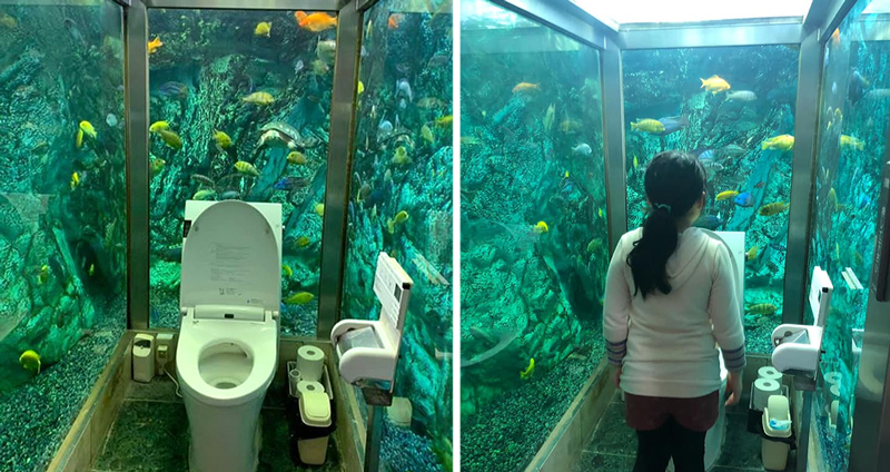 “ห้องน้ำอควอเรียม” ห้องน้ำญี่ปุ่นสุดหรู ทำให้คุณเหมือนอยู่ใต้น้ำ แม้จะนั่งทำธุระอยู่ก็ตาม