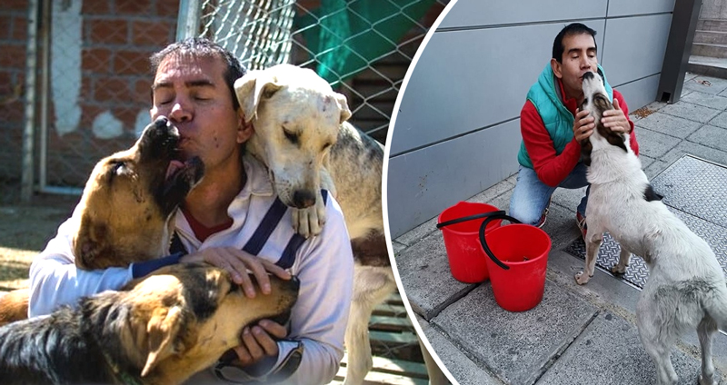 ชายคนนี้ให้อาหารสุนัขจรจัดมากมายทุกวัน โดยที่ไม่ต้องใช้เงินแม้แต่บาทเดียว