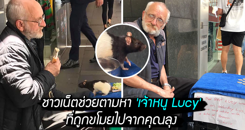 พลังโซเชียลตามหา “เจ้าหนู Lucy” สัตว์เลี้ยงแสนรัก ที่ถูกขโมยไปจากลุงคนไร้บ้าน