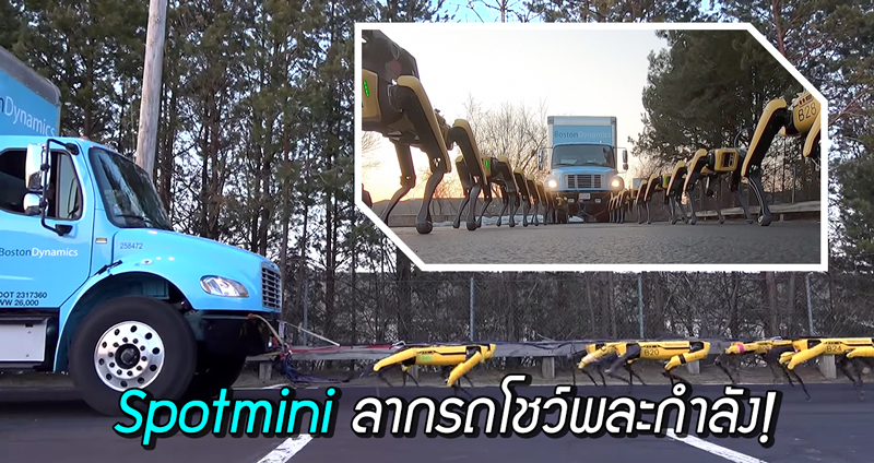 ฝูงหุ่นยนต์สี่ขา Spotmini โชว์ลากรถบรรทุกขนาดยักษ์ ราวกับฉากในภาพยนตร์ไซไฟ