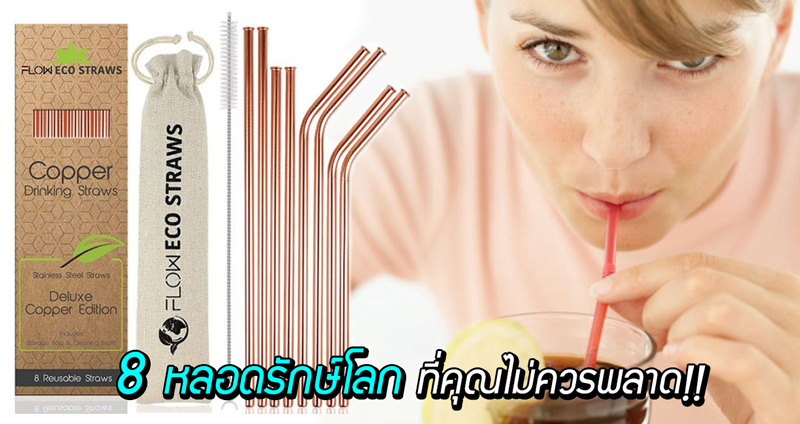 รวมหลอดใช้ซ้ำได้ 8 แบบ ซื้อครั้งเดียว ใช้ได้นาน แถมช่วยโลกด้วยการลดขยะพลาสติก