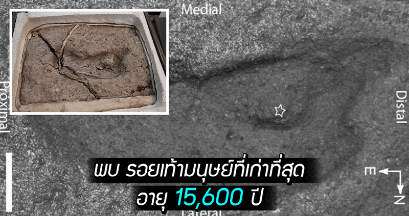 นักโบราณคดีพบ รอยเท้ามนุษย์ที่เก่าที่สุดของอเมริกาในชิลี คาดมีอายุมากถึง 15,600 ปี