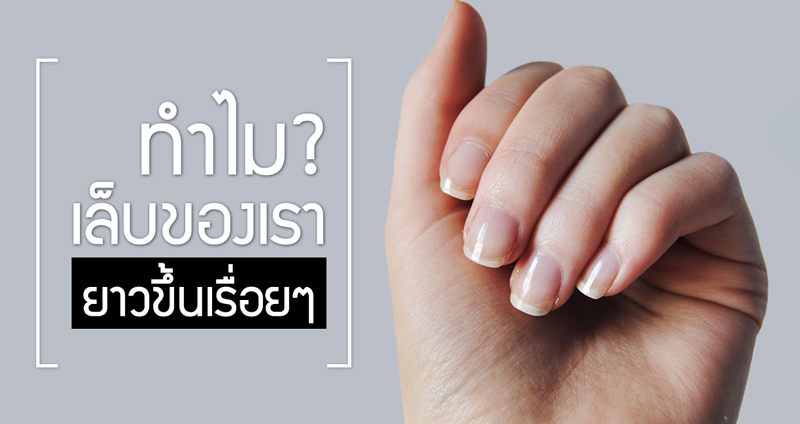 ผู้เชี่ยวชาญตอบคำถามเกี่ยวกับ “เล็บ” ทำไมเราต้องมี และทำไมมันถึงงอกยาวขึ้นทุกวัน