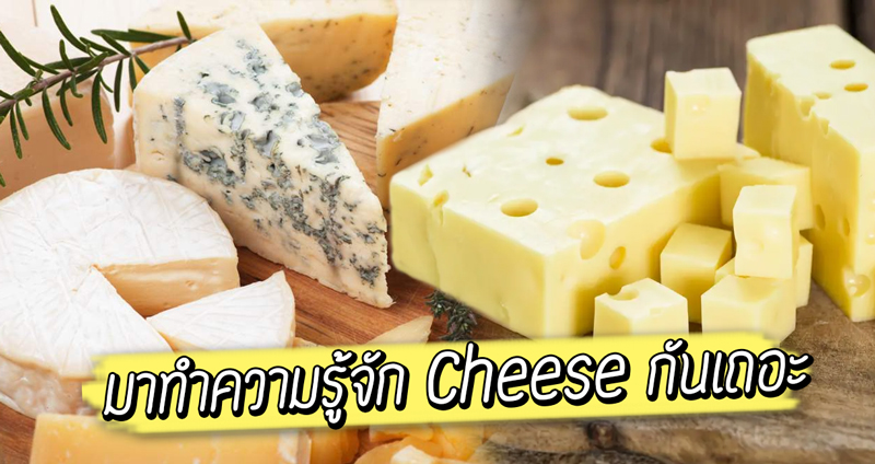 เปิดคอร์ส ‘Cheese 101’ ทำความรู้จักต้นกำเนิดและชนิดของชีส ที่คุณอาจจะยังไม่รู้มาก่อน