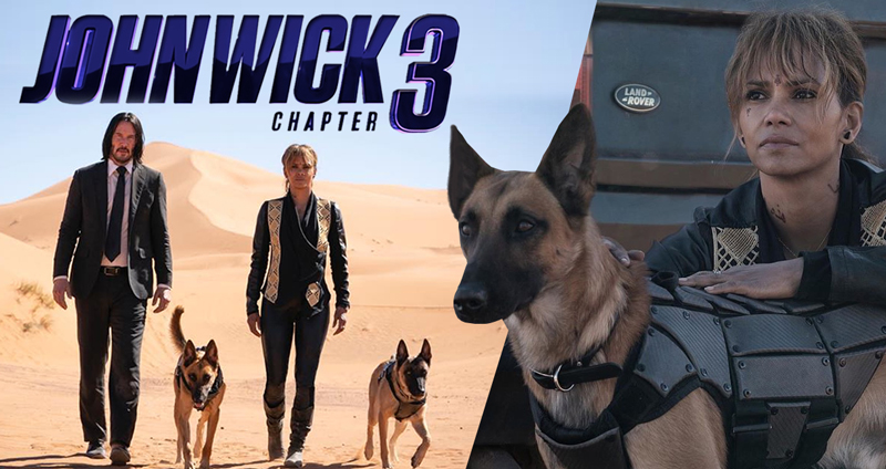 ผู้กำกับเผย ฉากแอคชั่นของ “น้องหมา” ใน John Wick 3 ไม่ได้ง่ายอย่างที่ทุกคนคิด