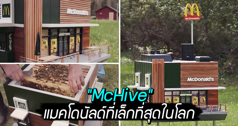 “McHive” แมคโดนัลด์ที่เล็กที่สุดในโลก สร้างสรรค์ให้ผึ้งอาศัย ไม่ให้ไปรบกวนลูกค้า