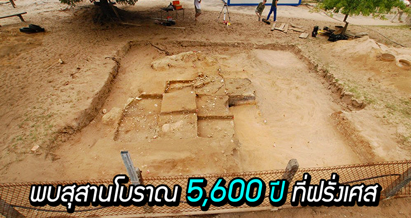 นักโบราณคดี พบสุสานโบราณอายุ 5,600 ปี ที่ฝรั่งเศส หลังเด็กอนุบาลขุดดินเล่นที่โรงเรียน