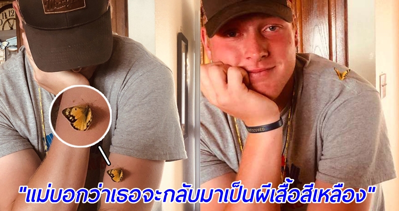 หนุ่มเชื่อว่าผีเสื้อสีเหลืองที่มาเกาะแขนคือแม่ที่ล่วงลับไป เพราะก่อนตายเธอพูดไว้อย่างนั้น