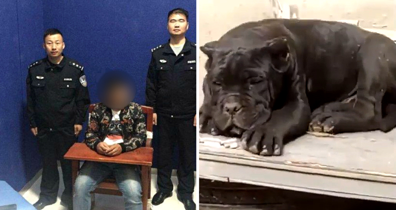ชายจีนถูกสั่งจำคุก 10 วัน หลังพบว่าเขา ‘ตั้งชื่อสุนัข’ ของตัวเองด้วยคำเรียก ‘เจ้าหน้าที่รัฐ’