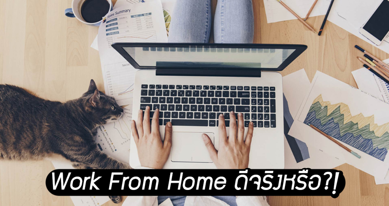 ผลการศึกษาชี้ Work From Home ช่วยเพิ่มความสุขและประสิทธิภาพในการทำงาน