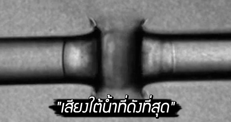 นักวิจัย ทดลองสร้าง “เสียงใต้น้ำที่ดังที่สุด” พบเสียงดังกล่าวดังจนทำน้ำระเหยได้