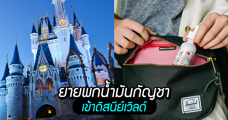 คุณยายโดนตำรวจรวบกลาง Disney World เพราะมีน้ำมันกัญชาไว้ในครอบครอง