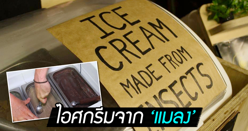 ไอศกรีมแนวใหม่ ปราศจากผลิตภัณฑ์จากนม เพราะมันทำมาจากน้องหนอนยังไงล่ะ