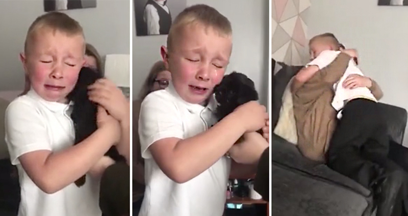 เด็กชายวัย 7 ขวบดีใจจนร้องไห้ไม่หยุด เมื่อได้พบกันเพื่อนมะหมาสี่ขาตัวน้อยๆ